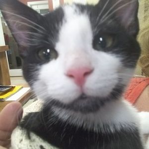 Meet your Posher, Cheryl